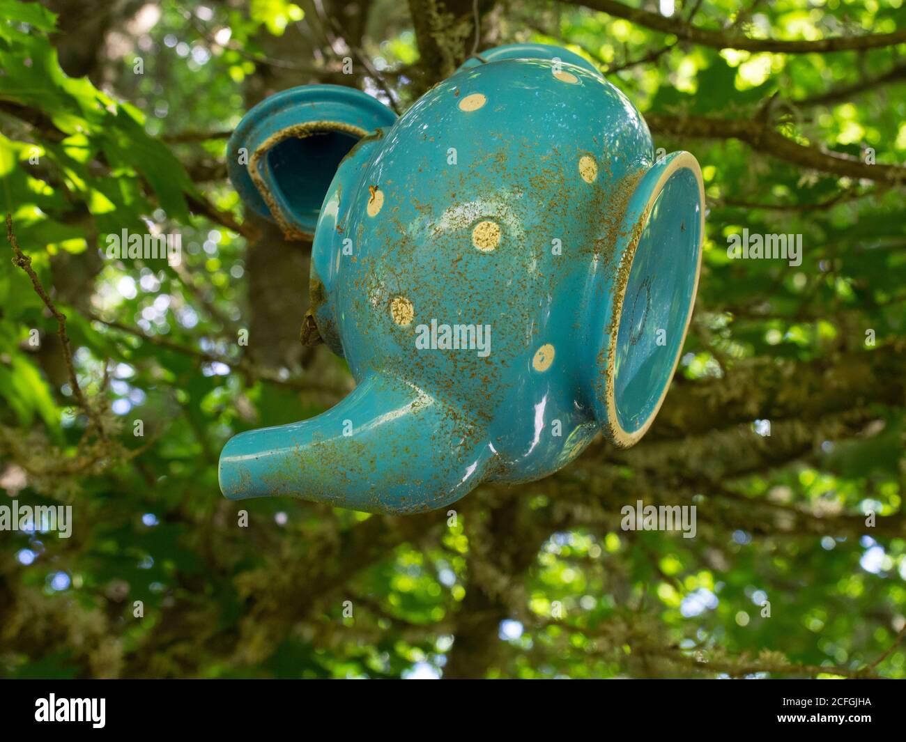 Green Ceramic Teapot Hanging From A Tree Stock Photo Alamy