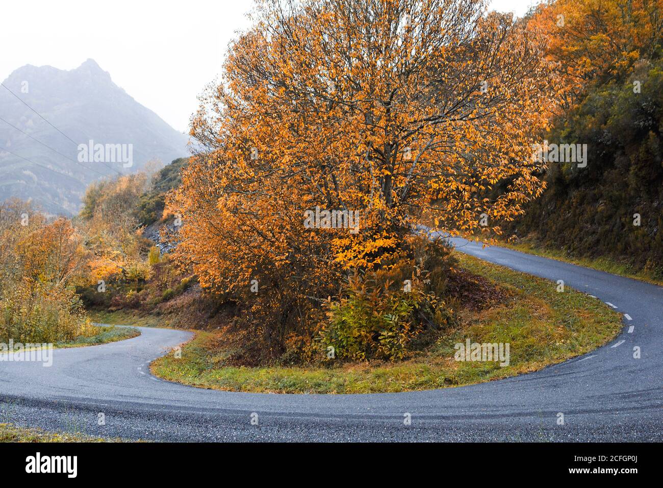 A winding road in autumn. Brilliant autumn colors. Stock Photo