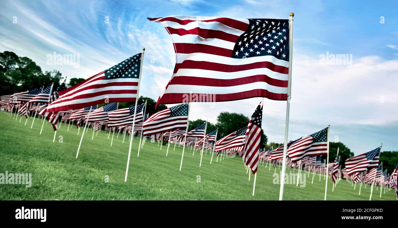 Display of American flags for Memorial Day Stock Photo Alamy