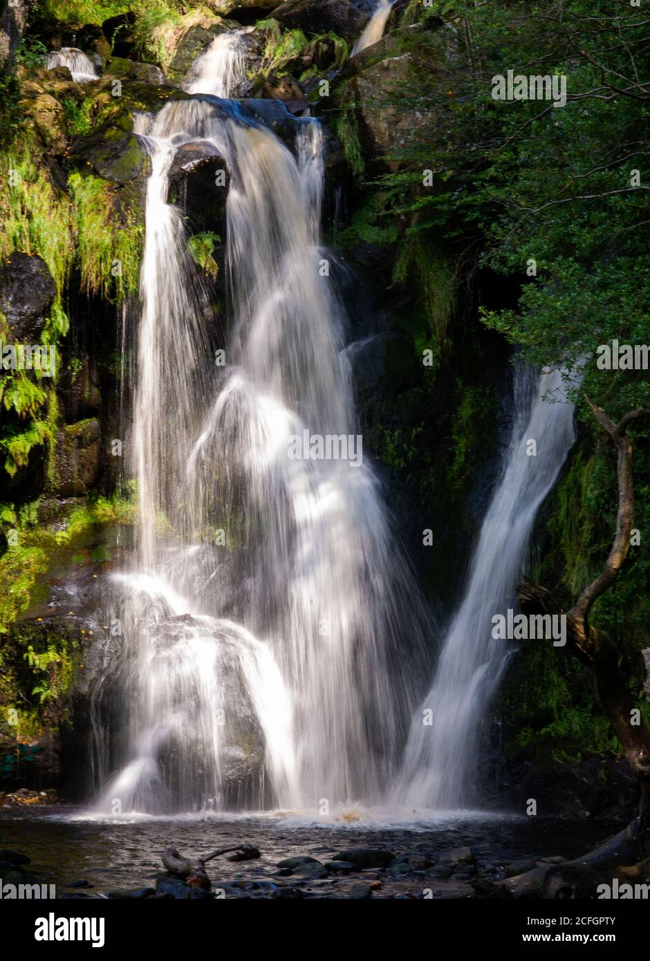 Waterfall at the Valley of Desolation, Bolton Abbey in the Yorkshire Dales, northern England Stock Photo