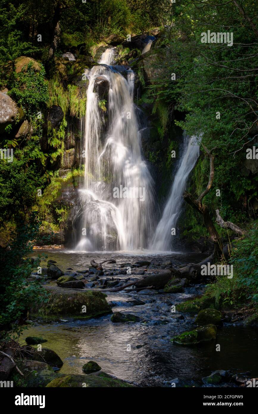 Waterfall at the Valley of Desolation, Bolton Abbey in the Yorkshire Dales, northern England Stock Photo