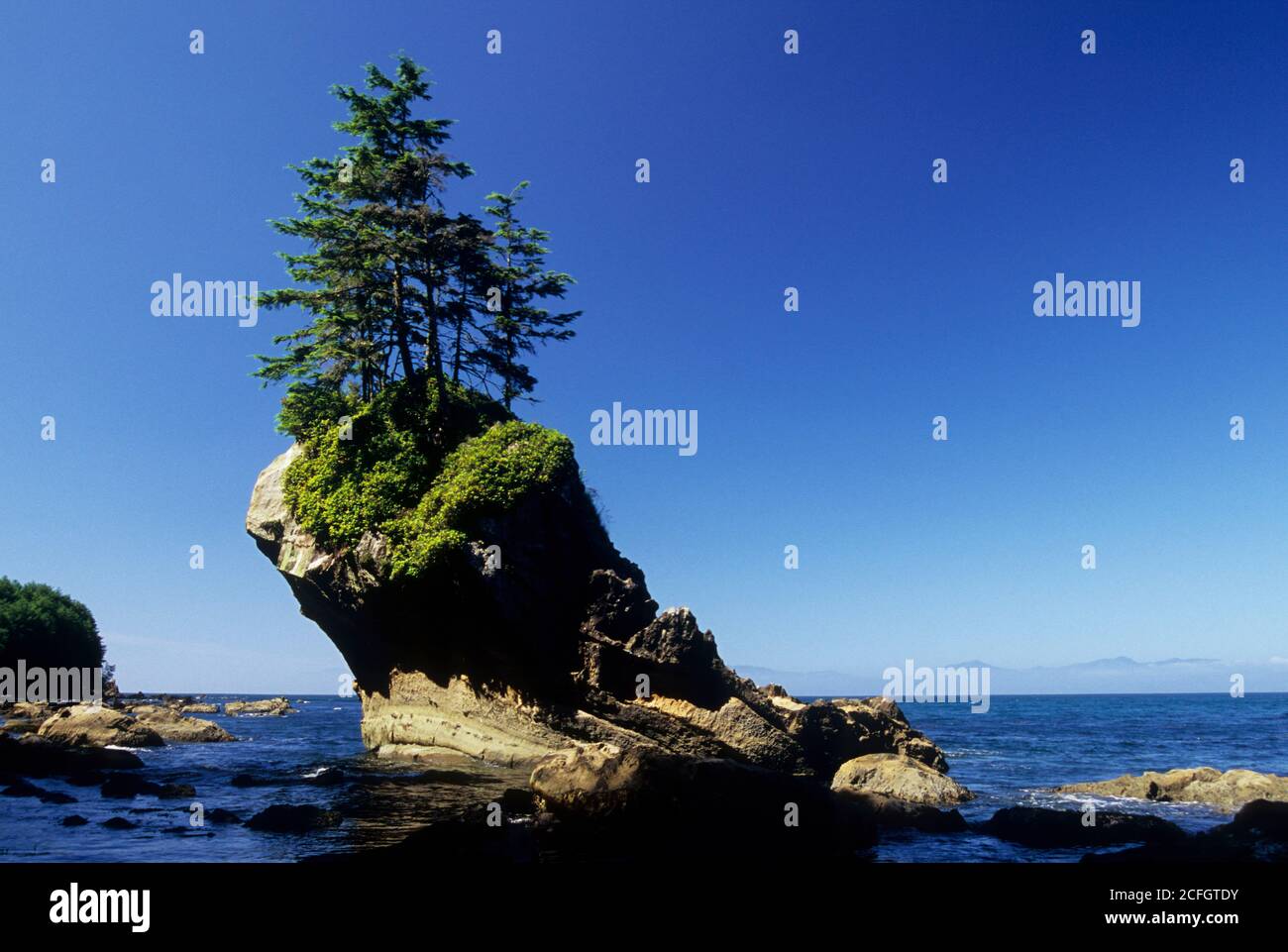 Seastack, Shipwreck Point Natural Area Preserve, Clallam County, Washington Stock Photo