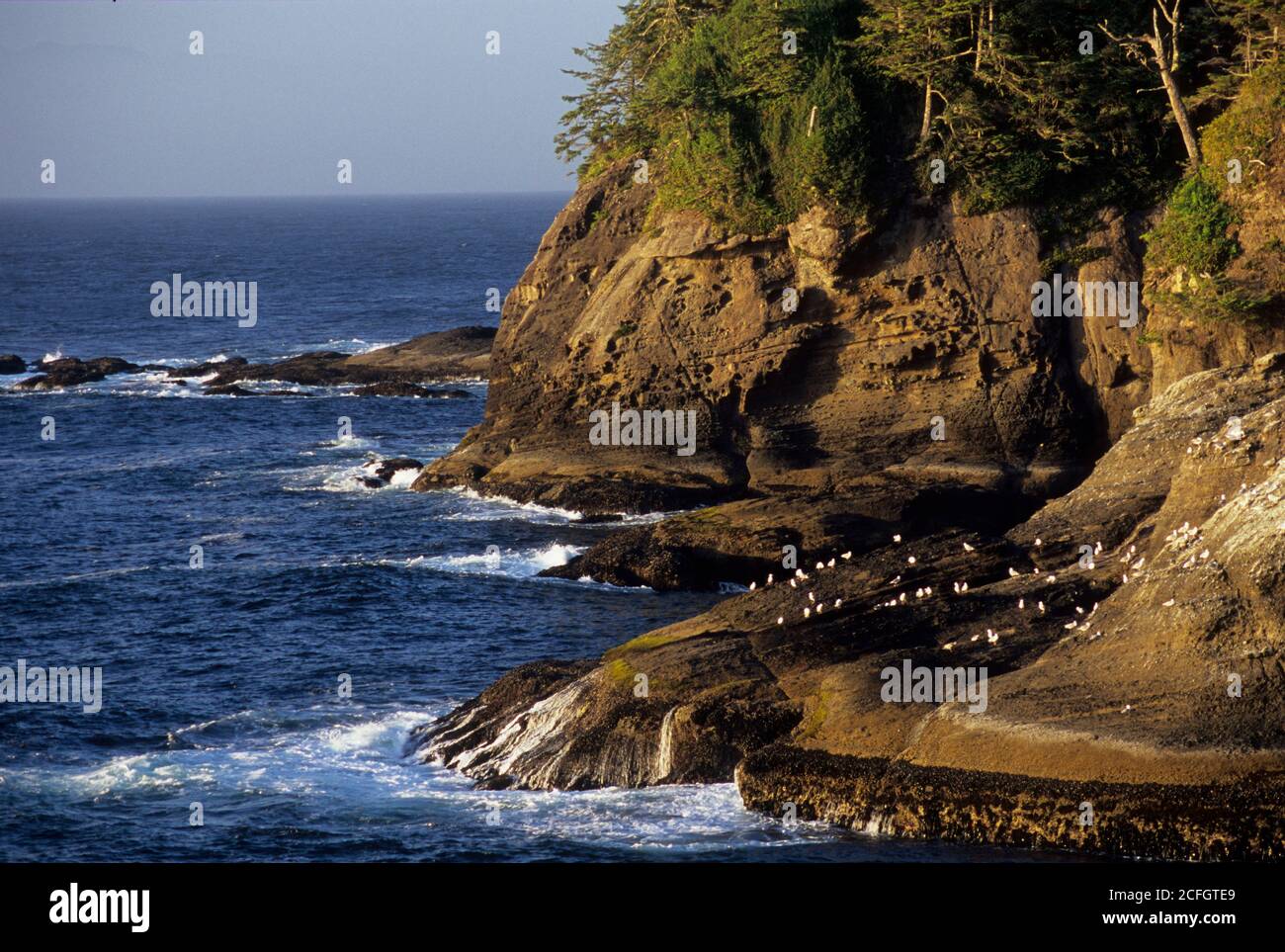 Cape Flattery shoreline, Makah Indian Reservation, Washington Stock Photo