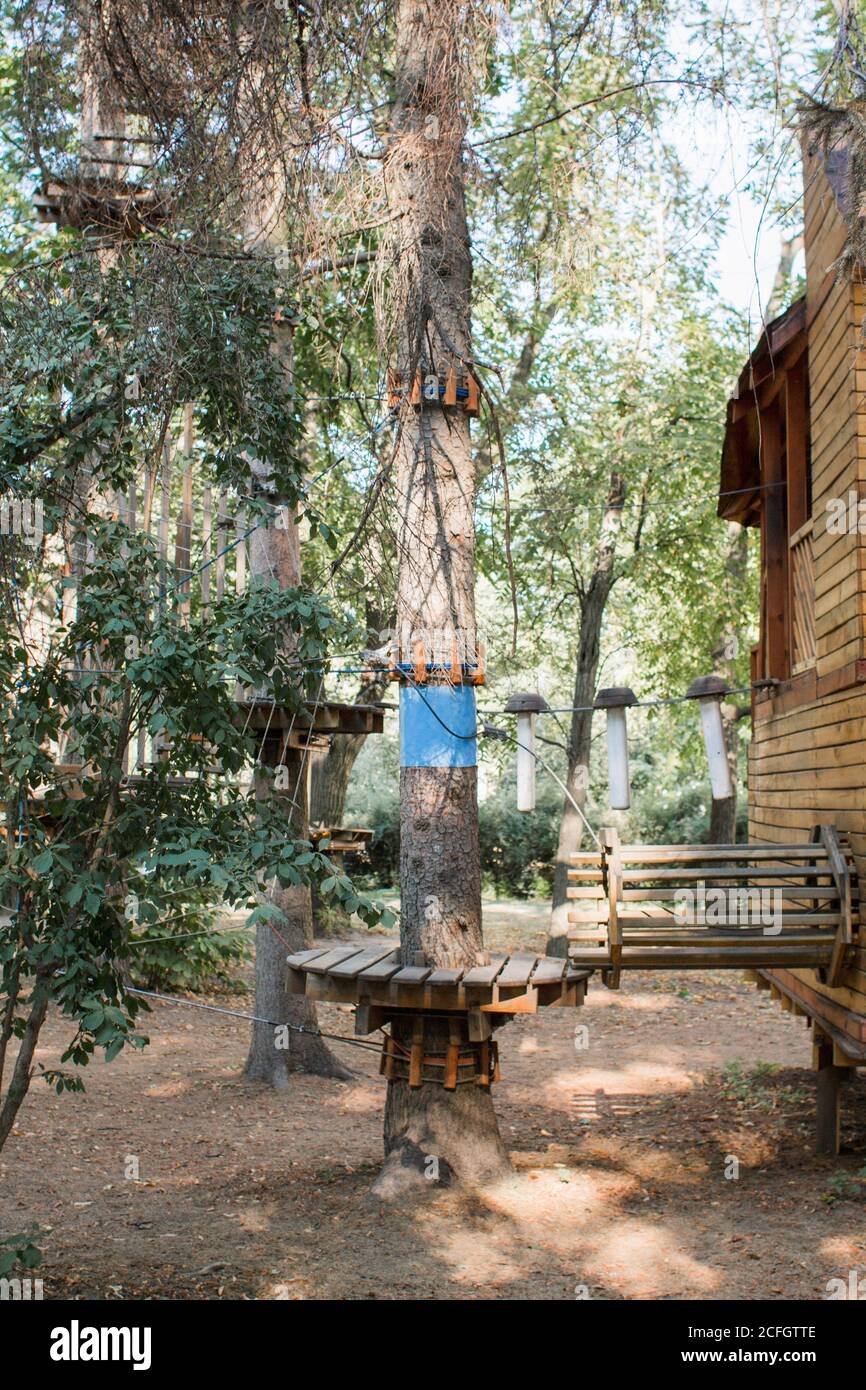 tree ropes for climbing in forest Stock Photo - Alamy
