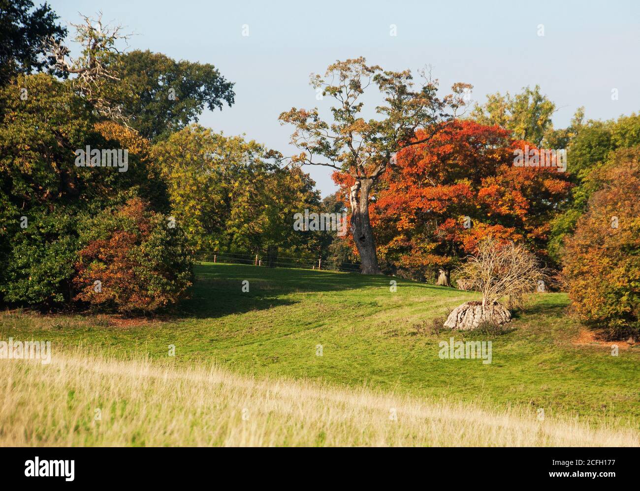 Autumnal tapestry in Burghley Park Stock Photo
