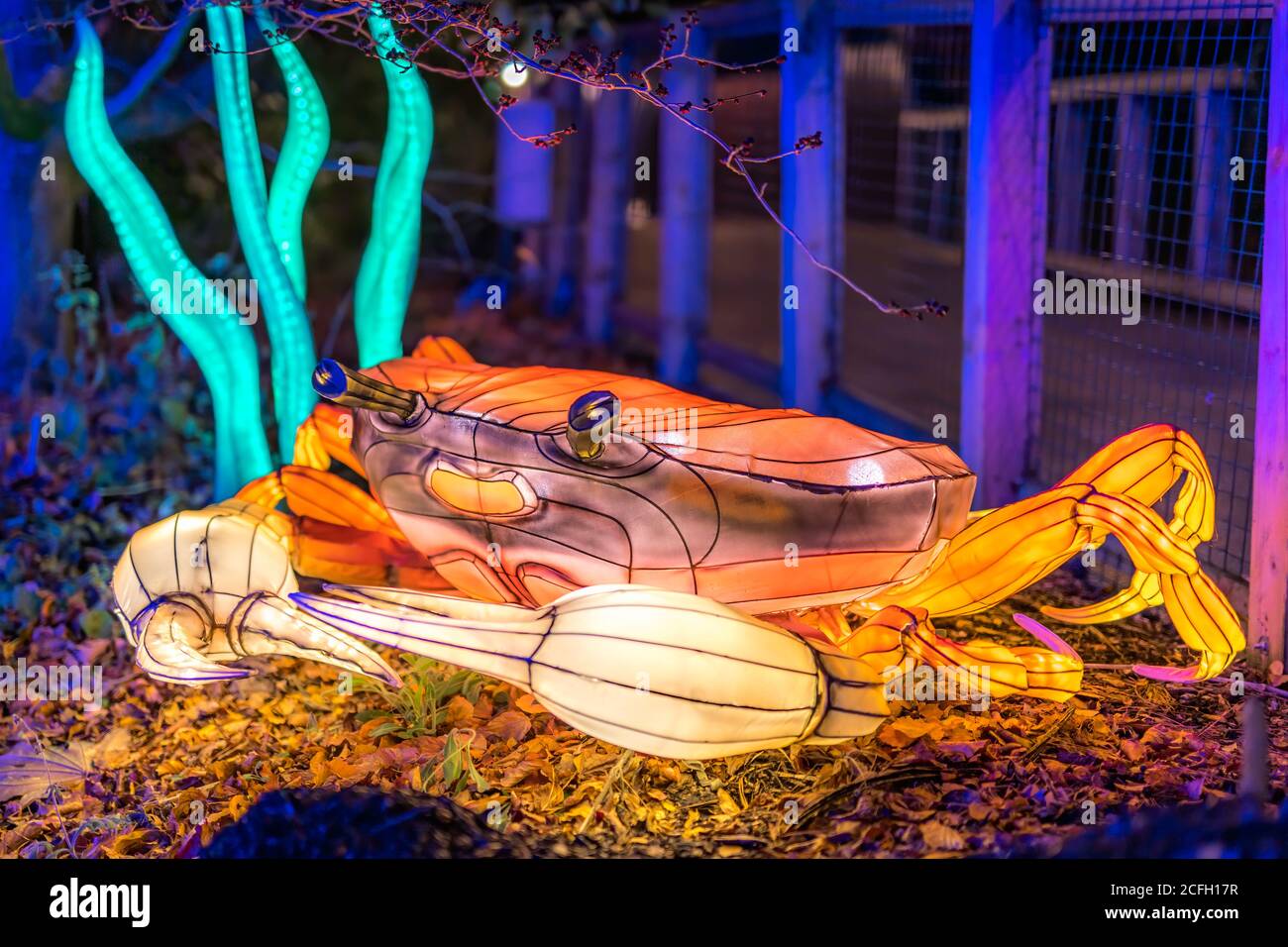 Dublin, Ireland, November 2018 Wild lights at Dublin zoo. Light