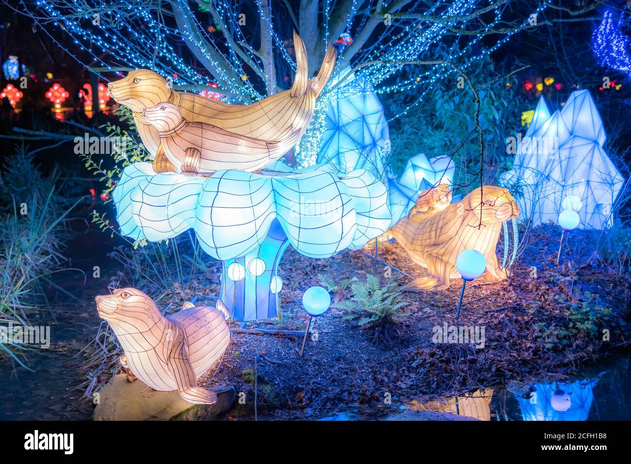 Dublin, Ireland, November 2018 Wild lights at Dublin zoo. Light