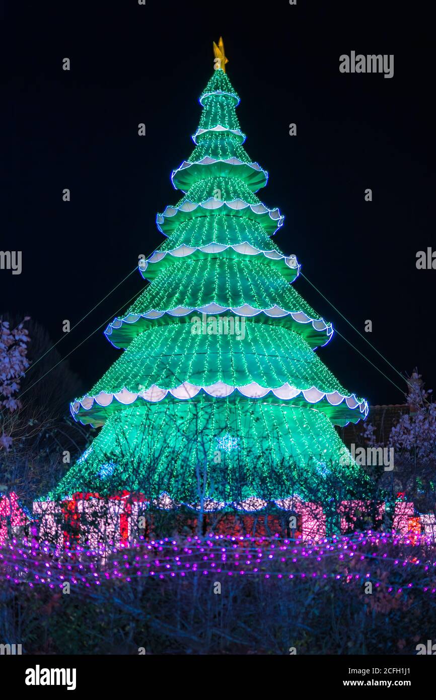 Dublin, Ireland, November 2018 Wild lights at Dublin zoo. Light