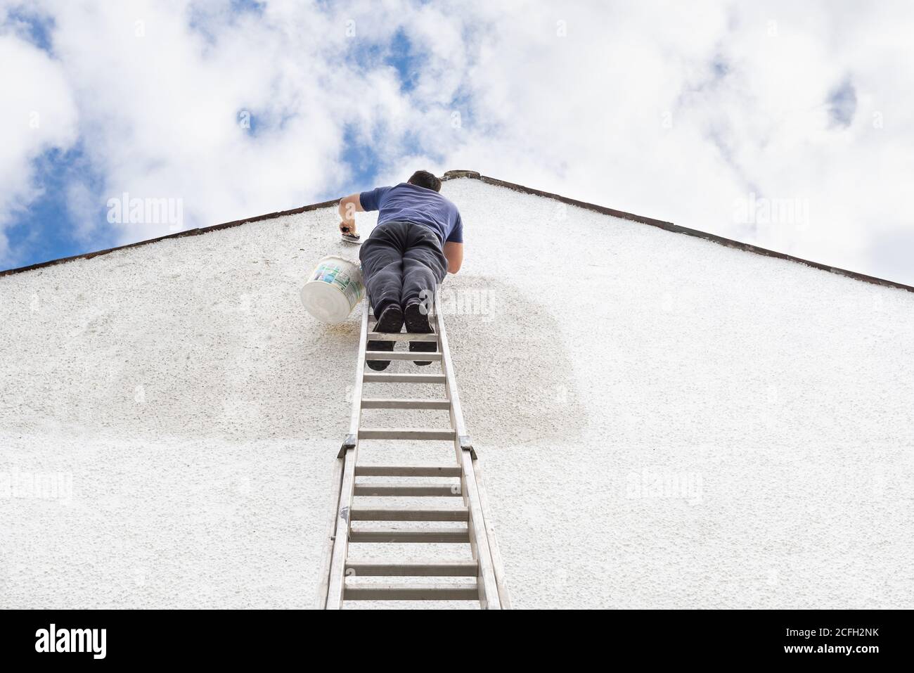 Man stands high up a ladder to paint the side of house a fresh white colour.  Stock Photo