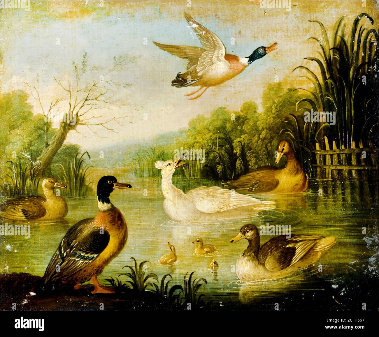Cradock Marmaduke, Mallards on a Pond, Circa 1716 Oil on canvas, Dulwich Picture Gallery, London UK  , Stock Photo