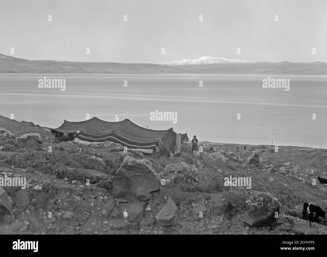 Original Caption:  Galilee & Hermon with Bedouin tent in foreground fr[om] S. of baths  - Location: Israel ca.  1940-1946 Stock Photo