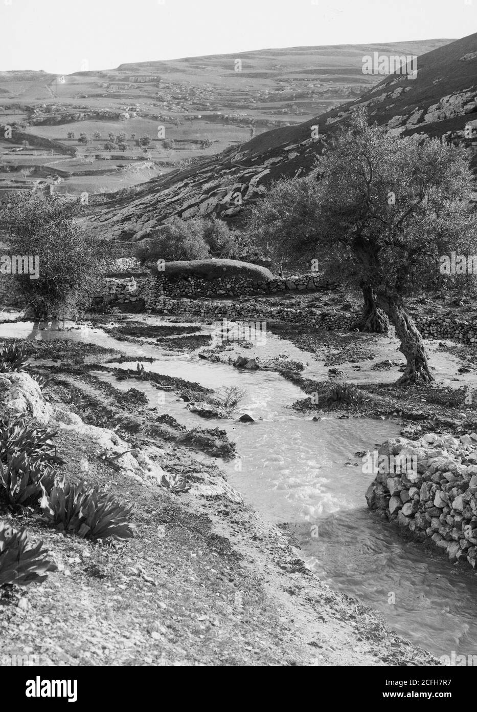 Jehoshaphat hires stock photography and images Alamy