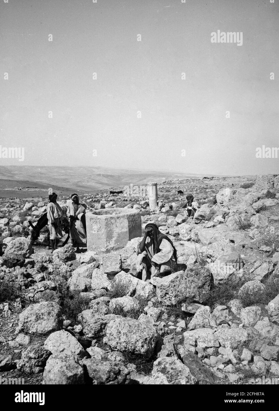 Original Caption Southern Palestine. Tekoah. Location West Bank