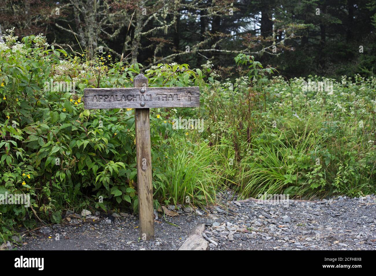 A sign for the Appalachian Trail, at Great Smoky Mountains National Park in the United States. Stock Photo