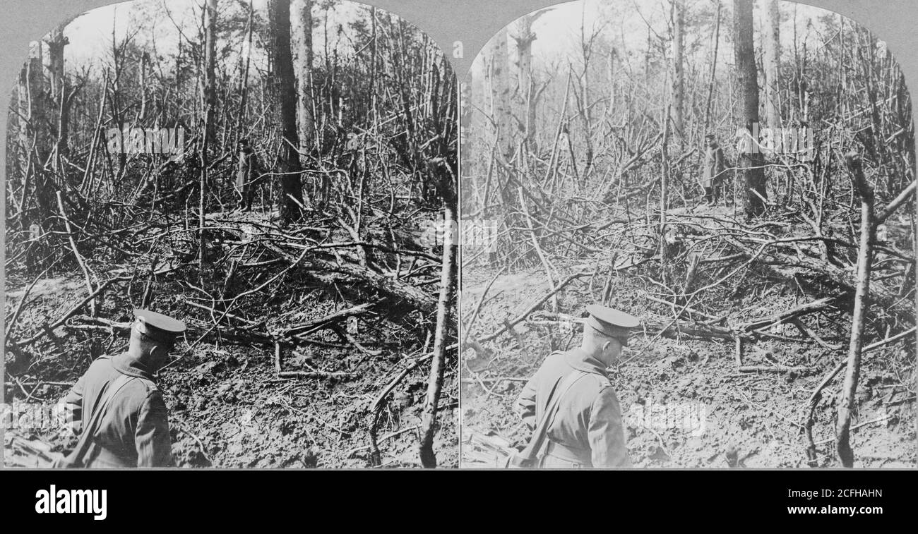 The Battle of Belleau Wood during World War One. Holes torn out by huge ...