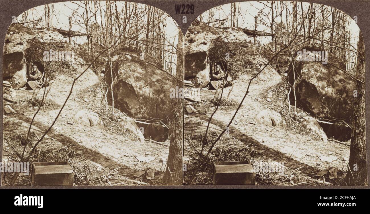 The scarred landscape after the Battle of Belleau Wood during World War ...