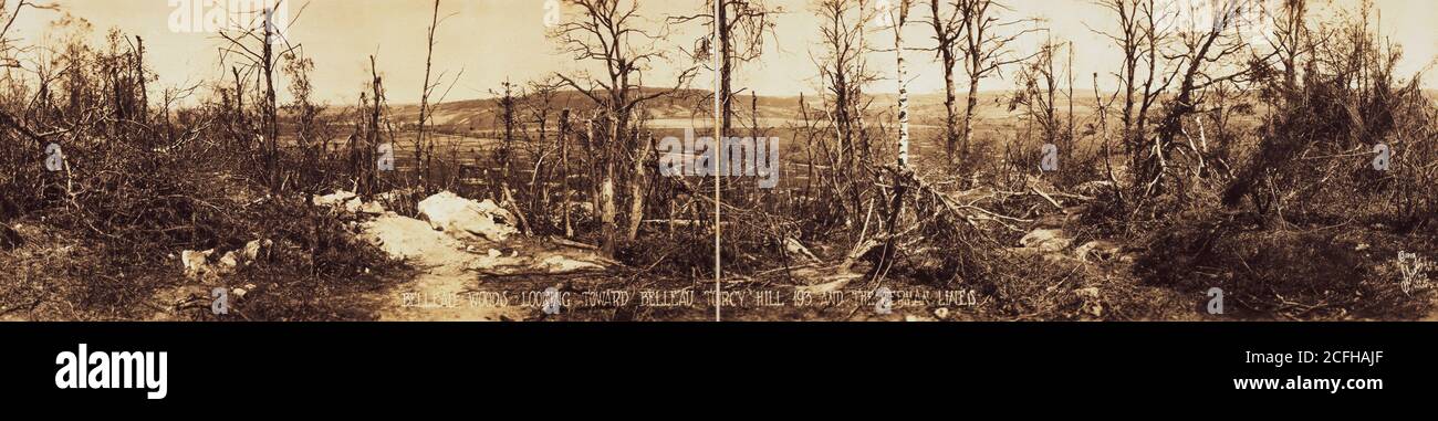 The landscape of the Battle of Belleau Wood during World War One -1918 ...