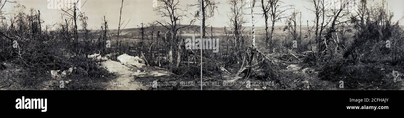 The landscape of the Battle of Belleau Wood during World War One -1918 ...