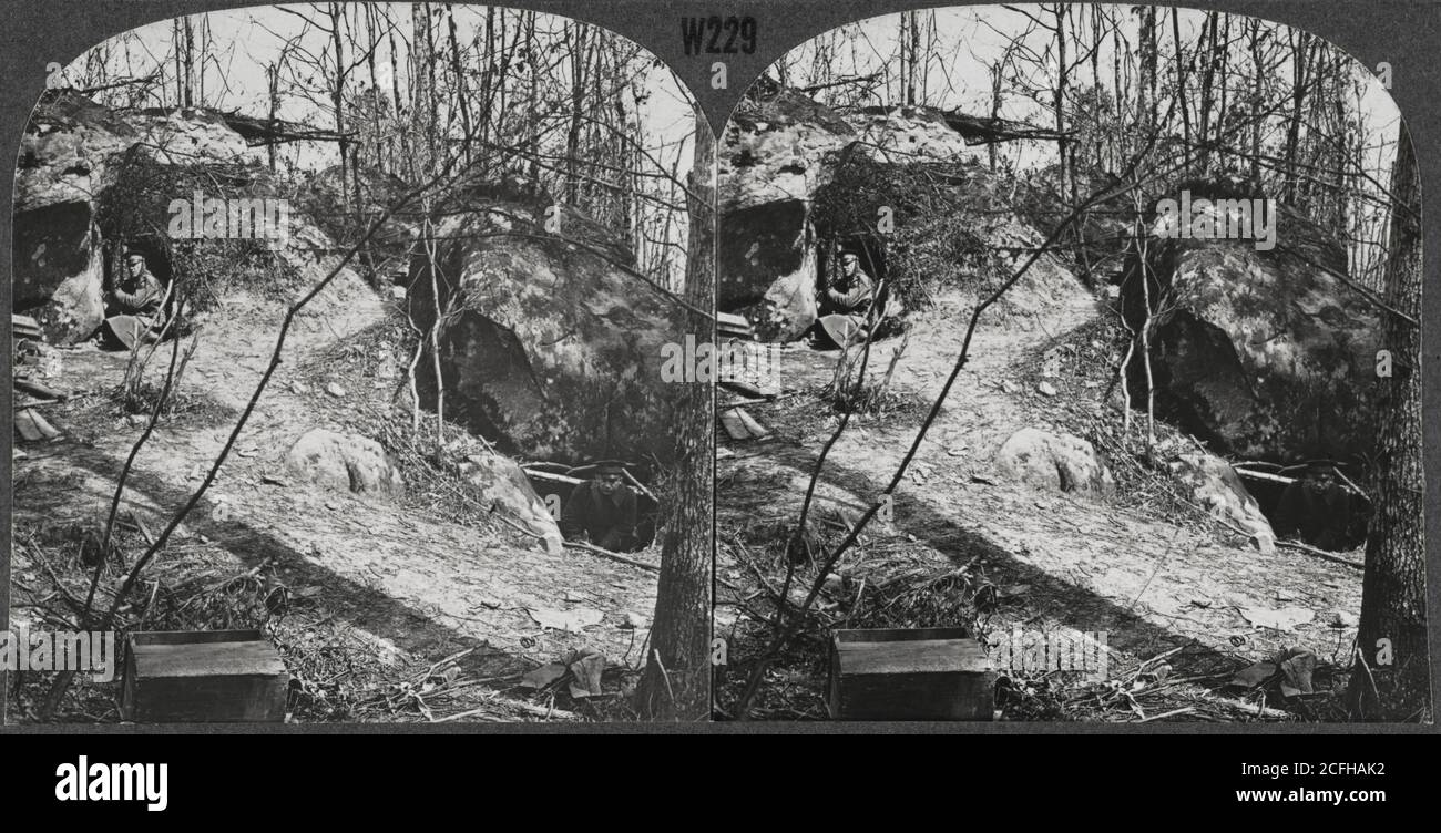 The scarred landscape after the Battle of Belleau Wood during World War ...