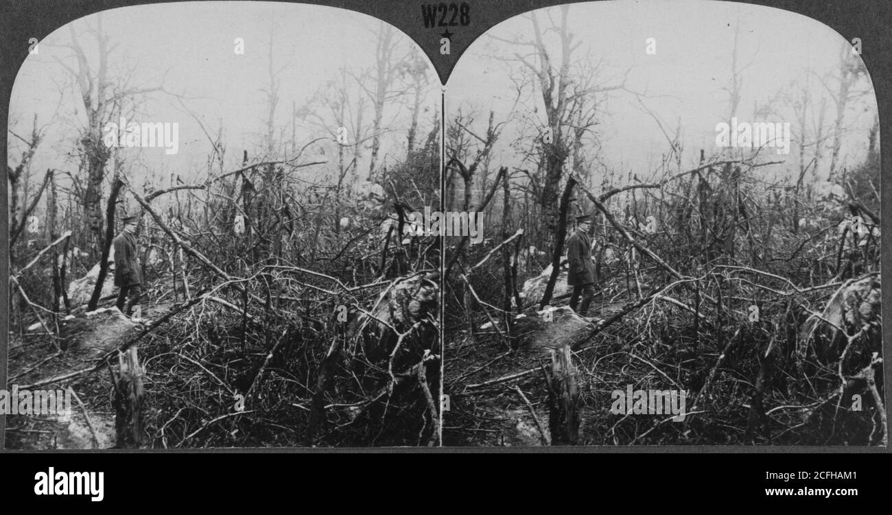 Destruction after the Battle of Belleau Wood during World War One ...