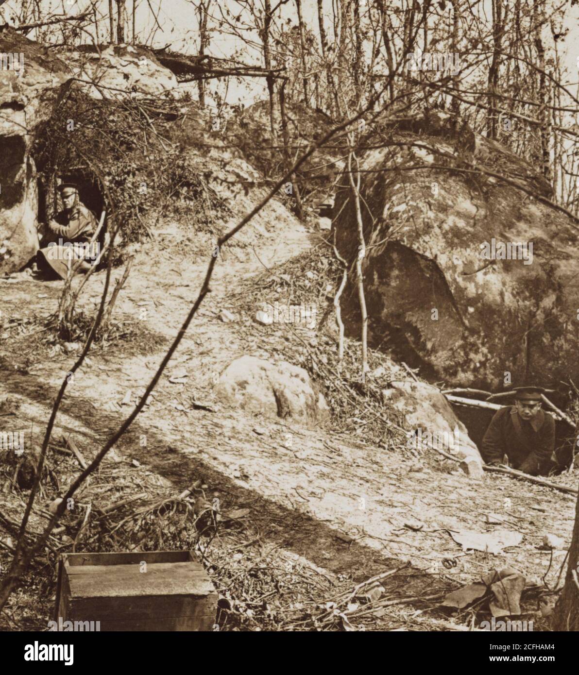 The scarred landscape after the Battle of Belleau Wood during World War ...