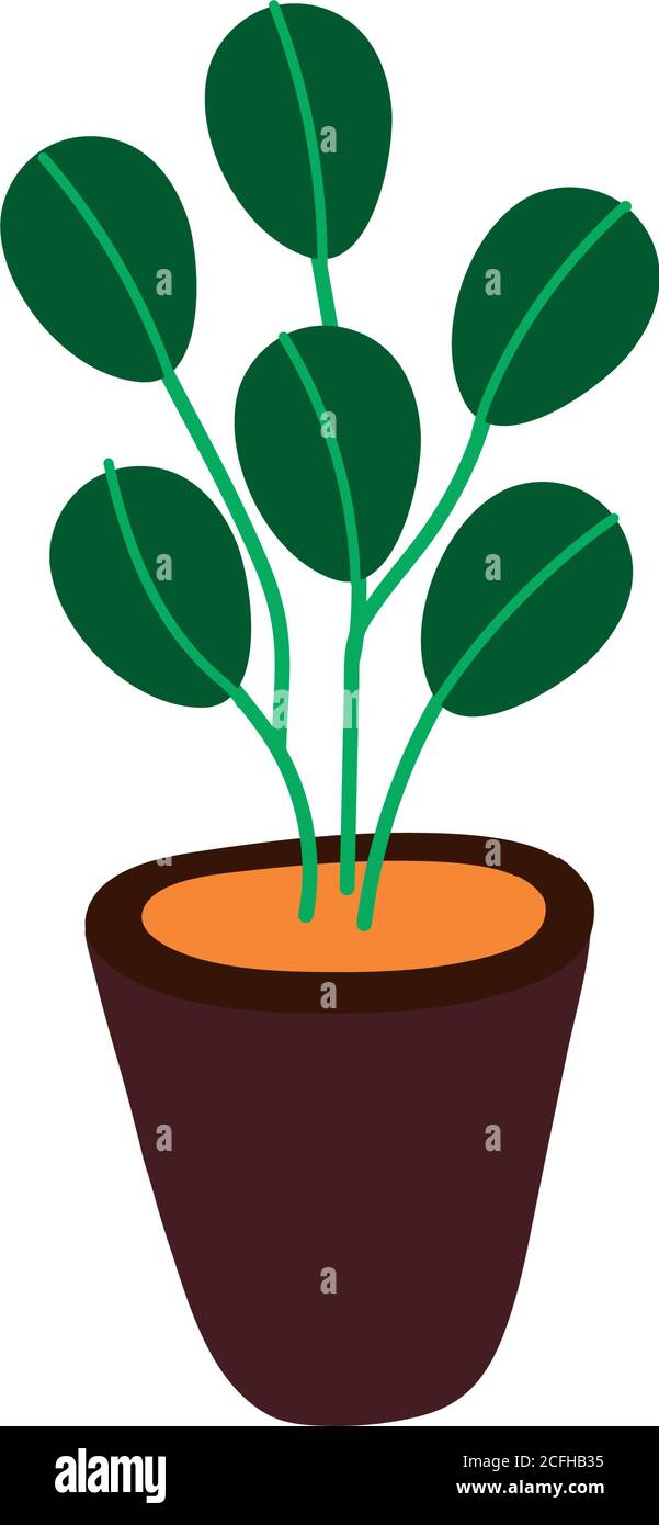 house plant in ceramic pot icon vector illustration design Stock Vector ...