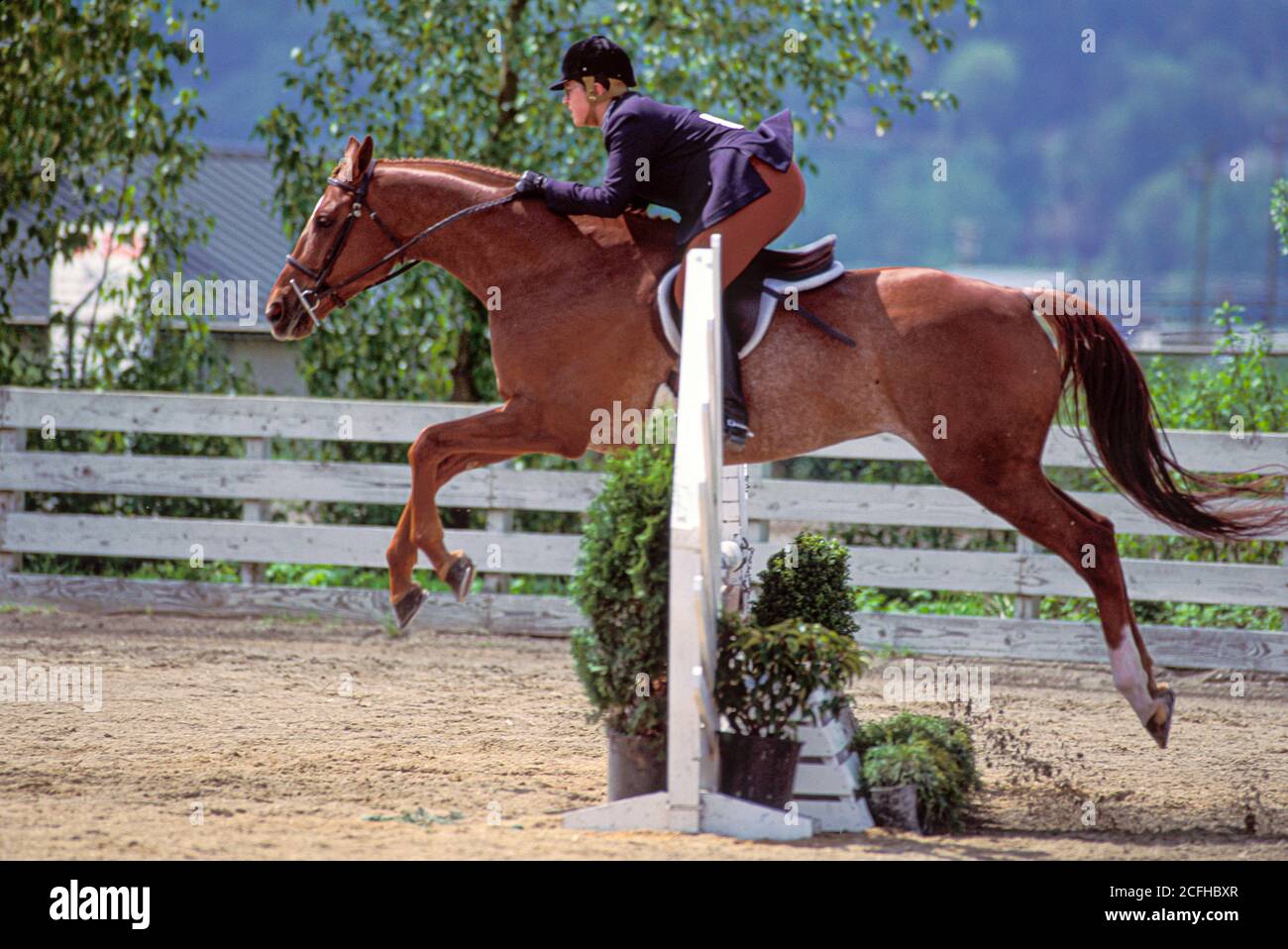 Horse and rider clear jump during competition, Monroe, Washington Stock Photo