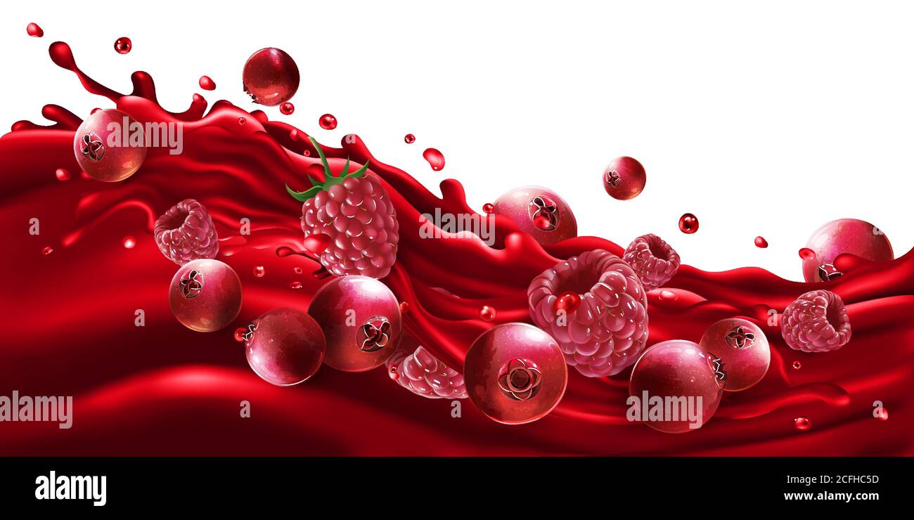 Red natural raspberries on Stock Vector Images - Alamy