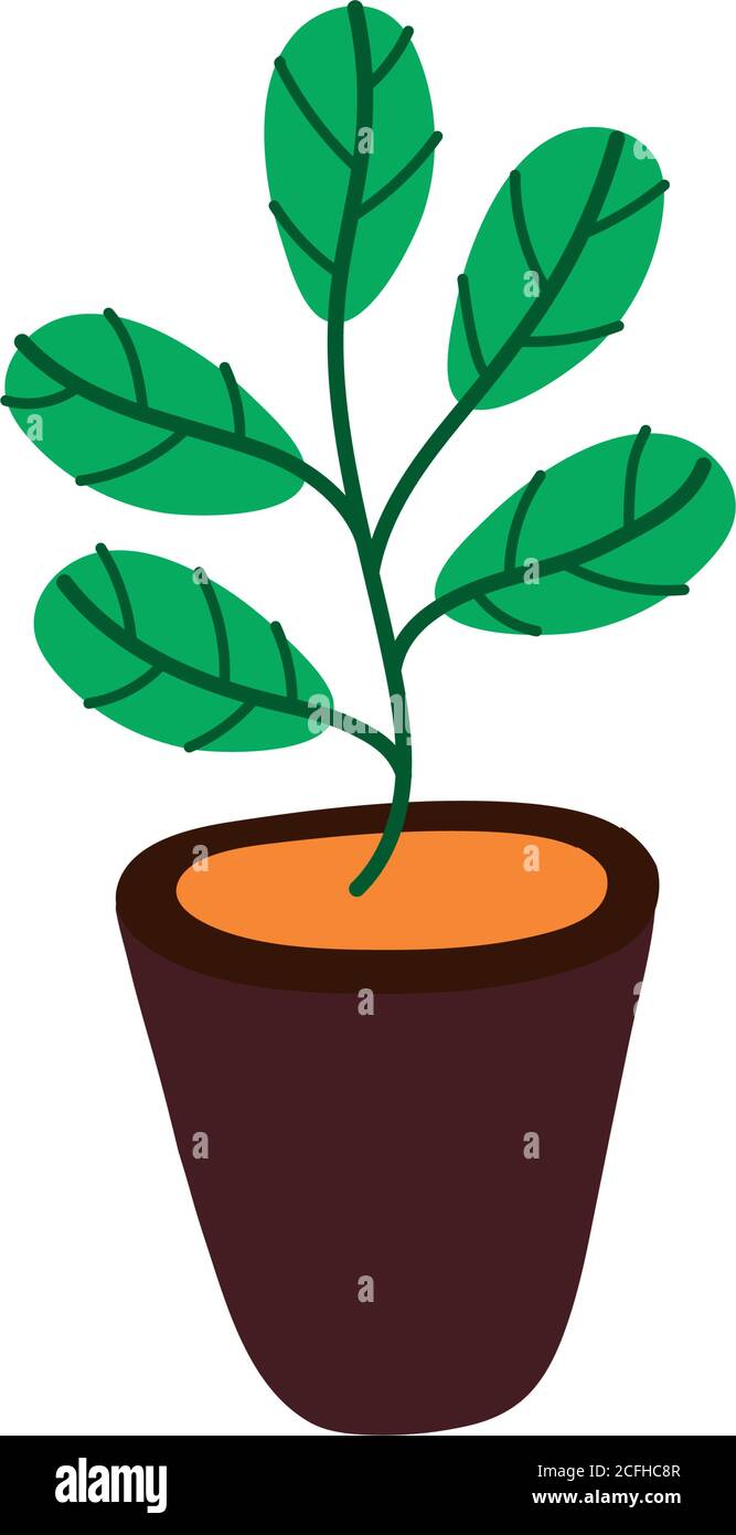 house plant in ceramic pot icon vector illustration design Stock Vector ...