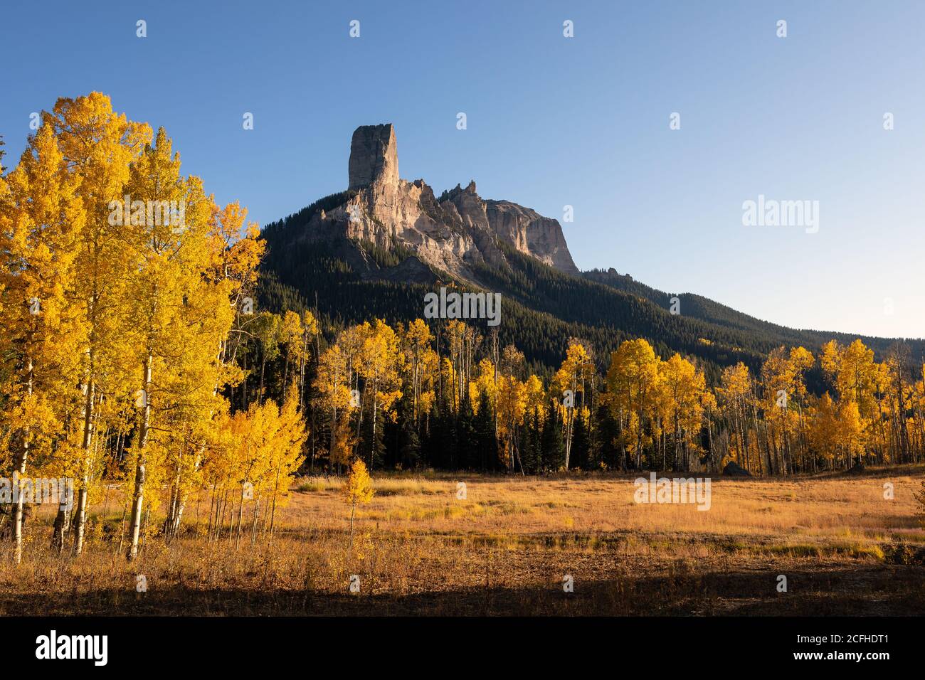 Aspen trees with fall colors at Owl Creek Pass, Colorado Stock Photo