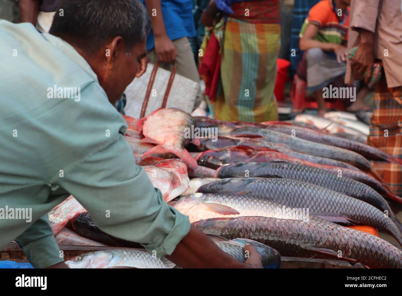 A customer choosing and buying fishes at a shop of Asian market Stock Photo