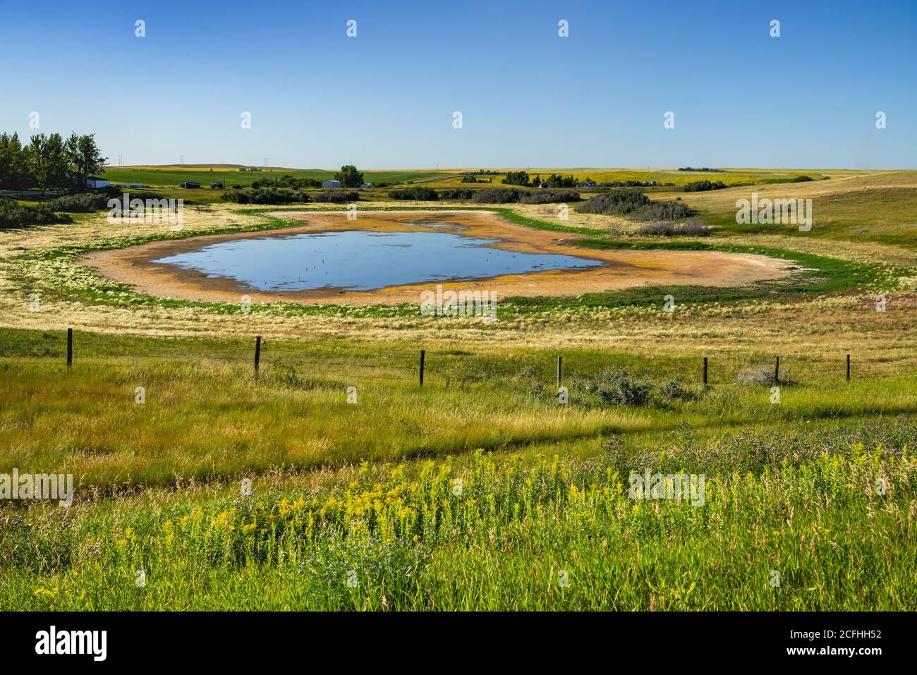 A small prairie pond in rural Saskatchewan, Canada. Stock Photo