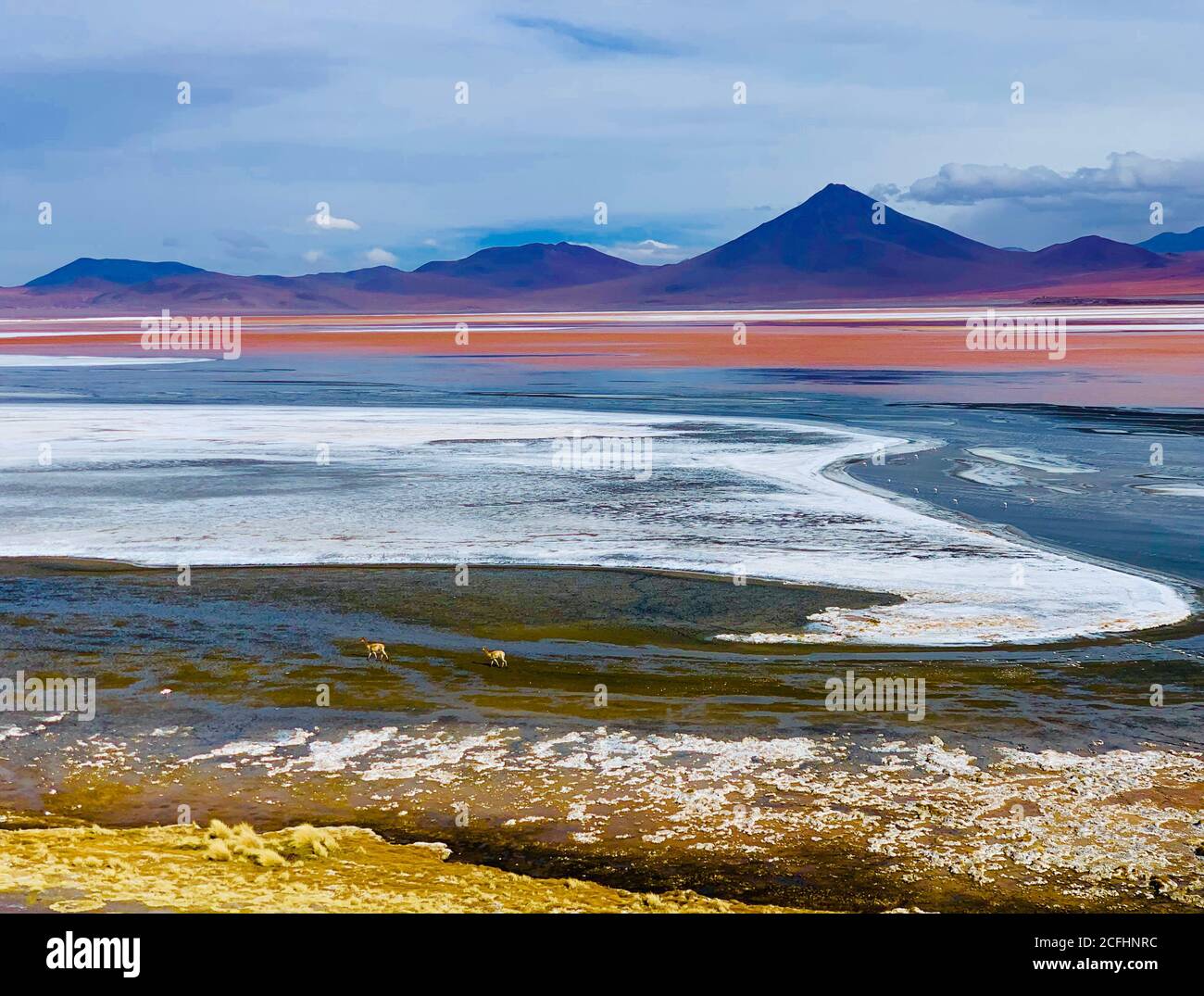 Breathtaking incredible beauty of mineral red Lake Laguna Colorada in Bolivia. Bright surreal colors.Unique fantastic landscape. Scenic wilderness. Stock Photo