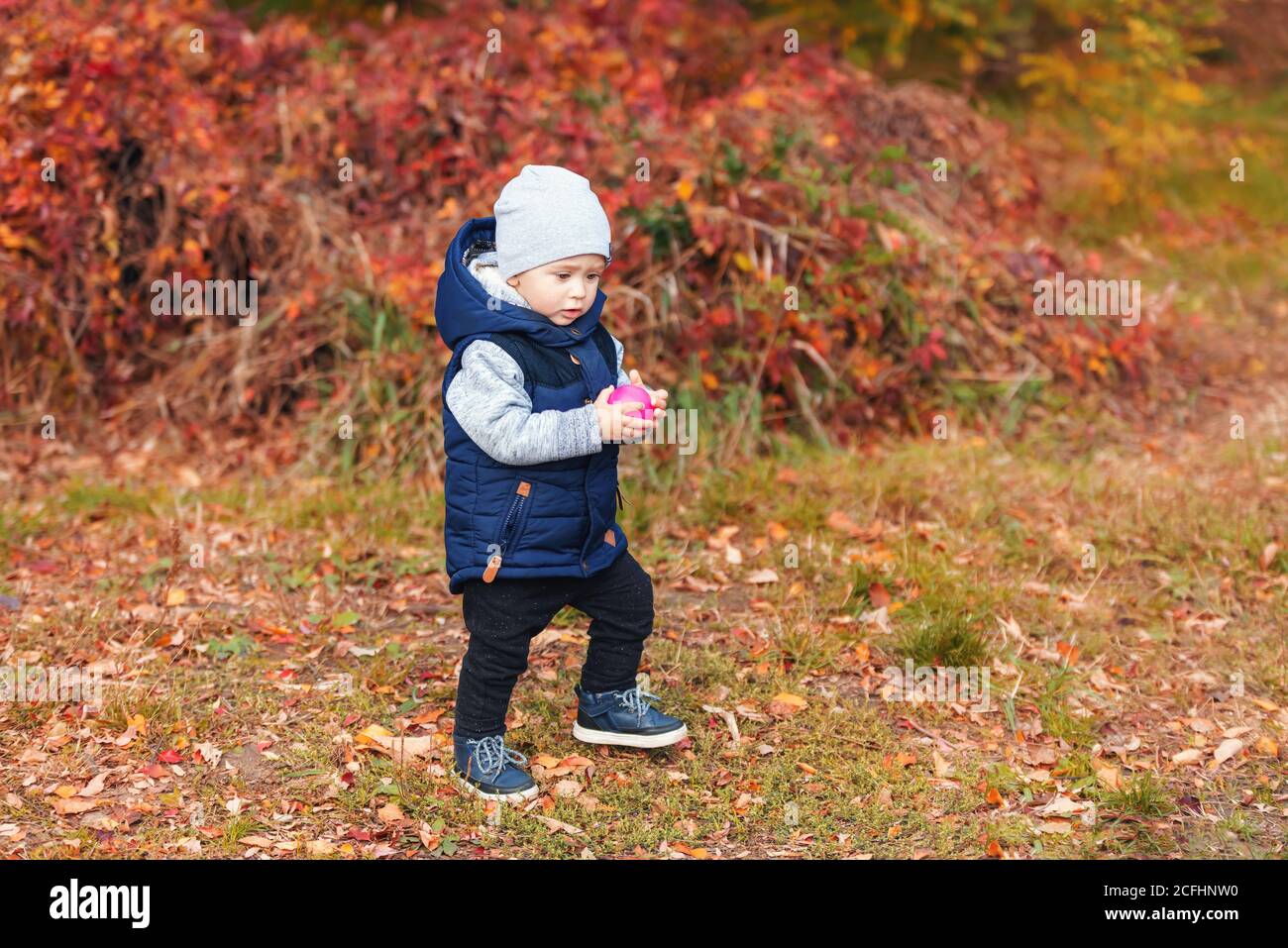 Cute toddler baby boy walking among fallen leaves in the autumn park ...
