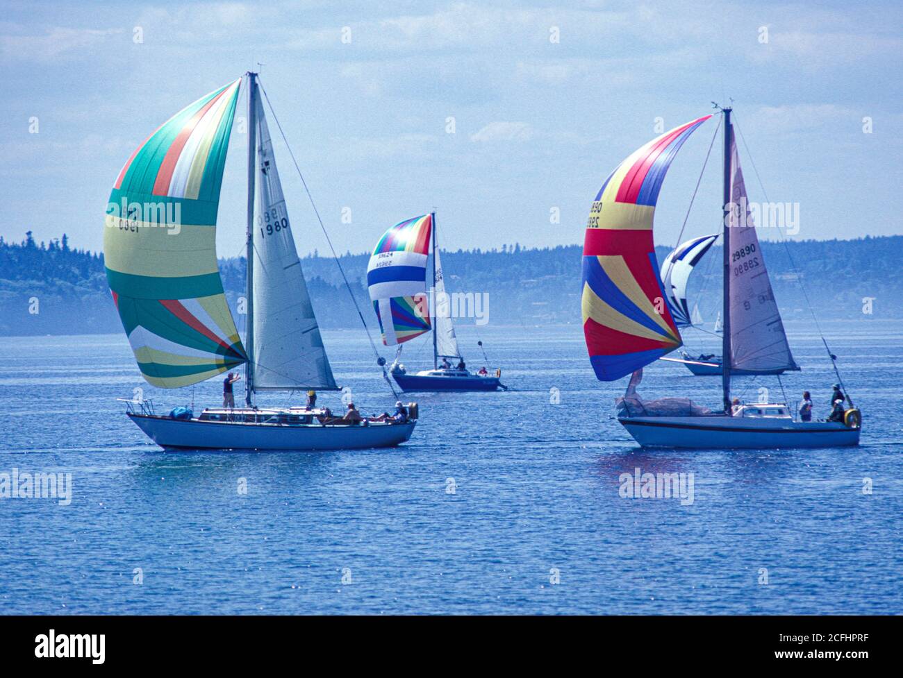 Sailboat race on Puget Sound near Vashon Island, Washington, USA Stock Photo