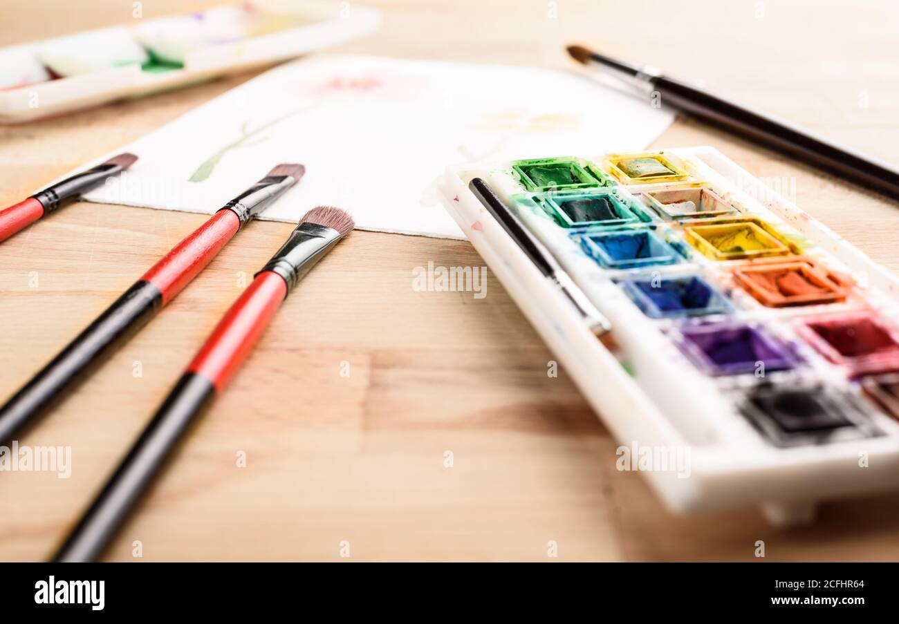 brushes and watercolor paint palette, side view. Creative. artistic