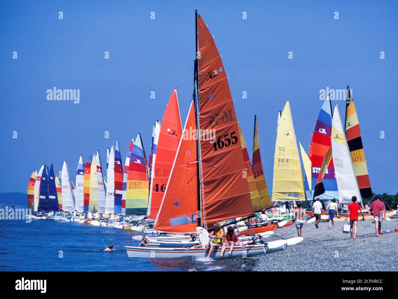 Catamaran sailboats line shore of Puget Sound at Golden Gardens Park, Seattle, Washington USA Stock Photo
