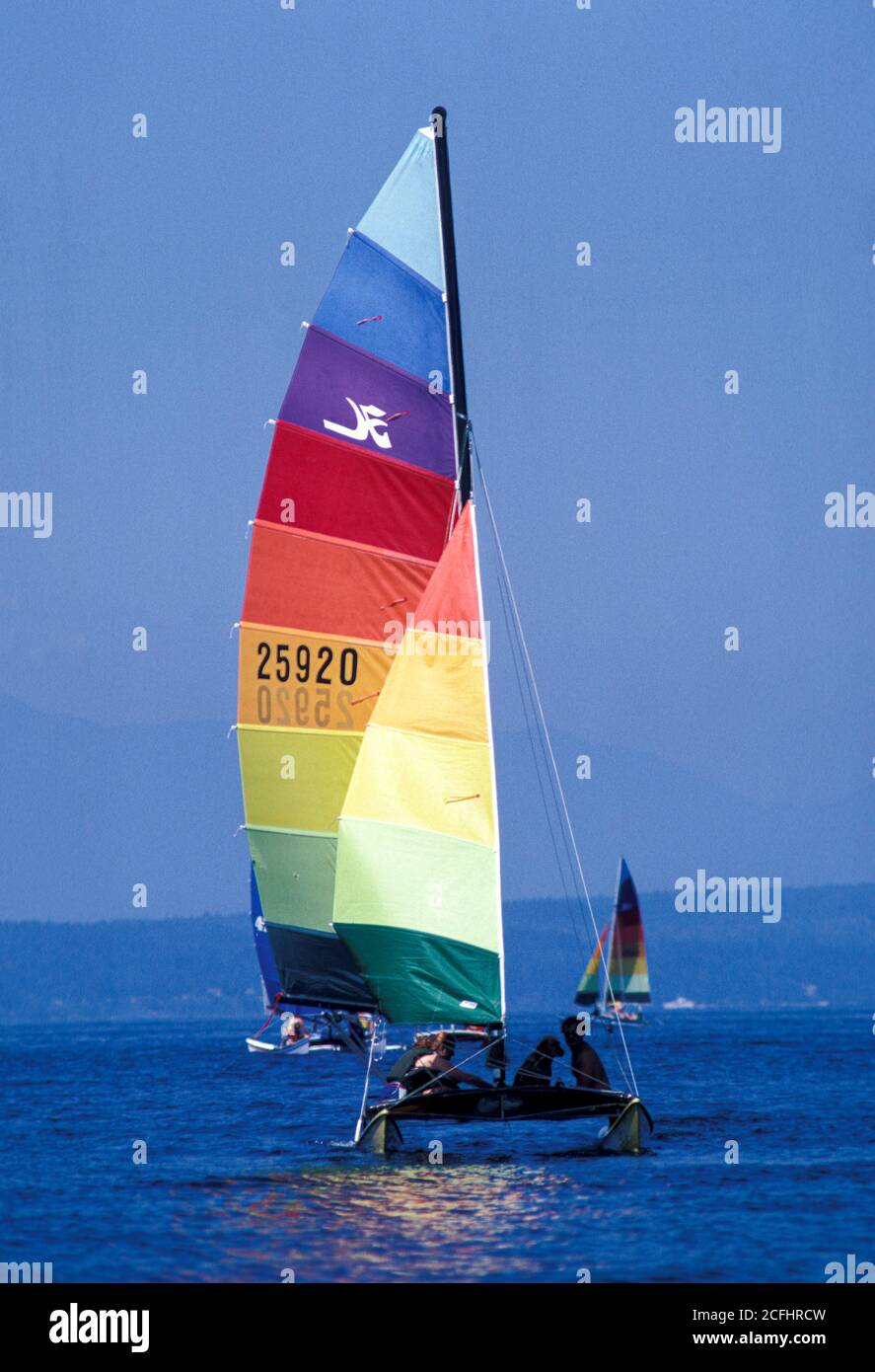 Catamaran sailboats racing on Puget Sound near Golden Gardens Park, Seattle, Washington USA Stock Photo