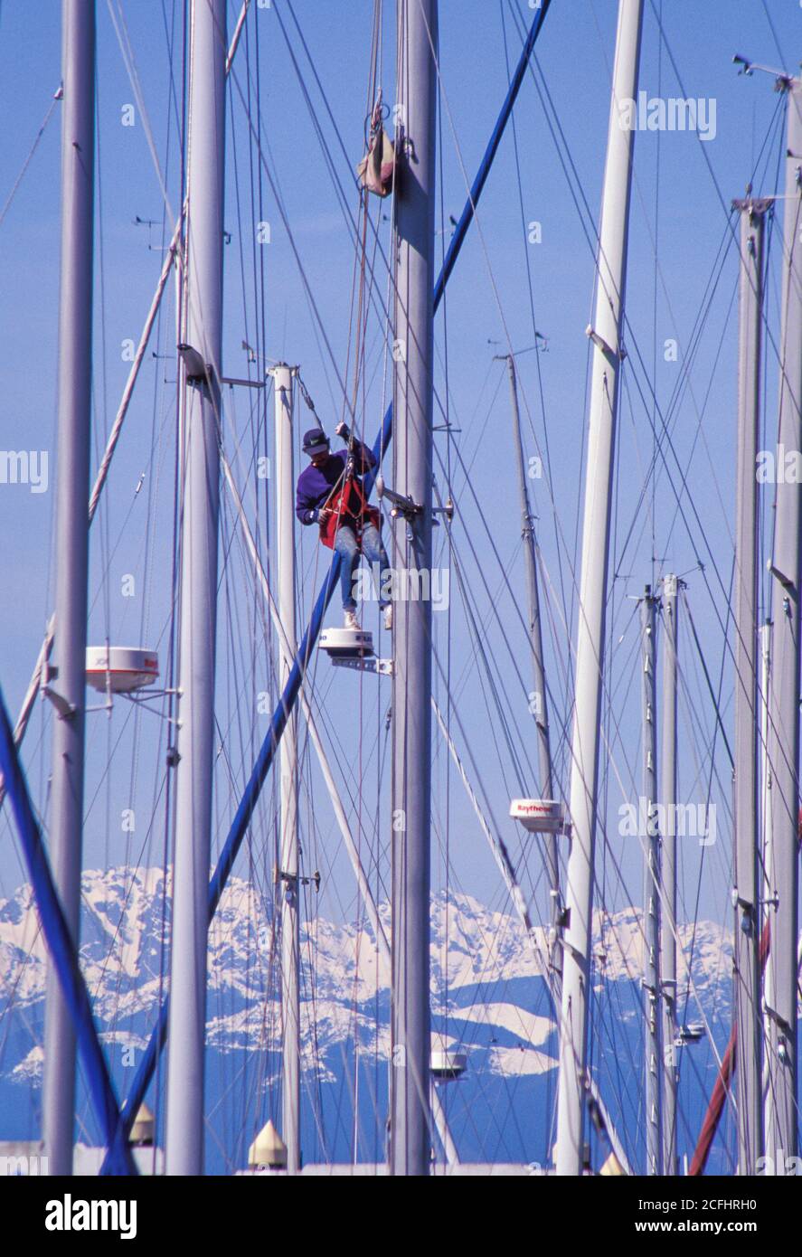 Man in bosun chair works on sailboat mast at Shilshole Marina, Seattle, Washington USA Stock Photo