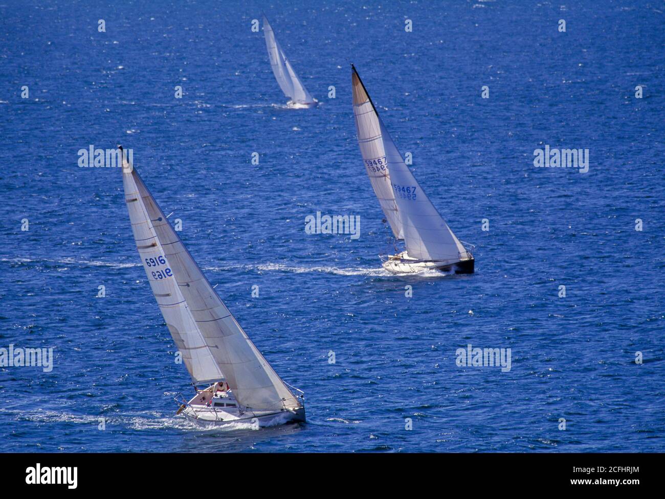 Sailboat racing on Puget Sound, Seattle, Washington USA Stock Photo