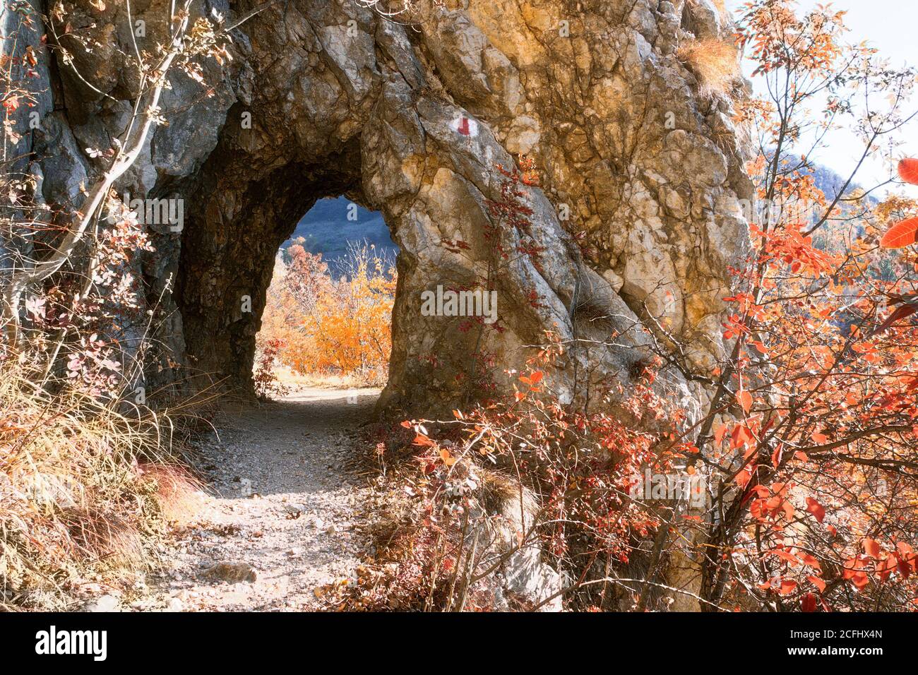 ancient handmade tunnel dug in limestone rocks in Cheile Nerei Stock Photo