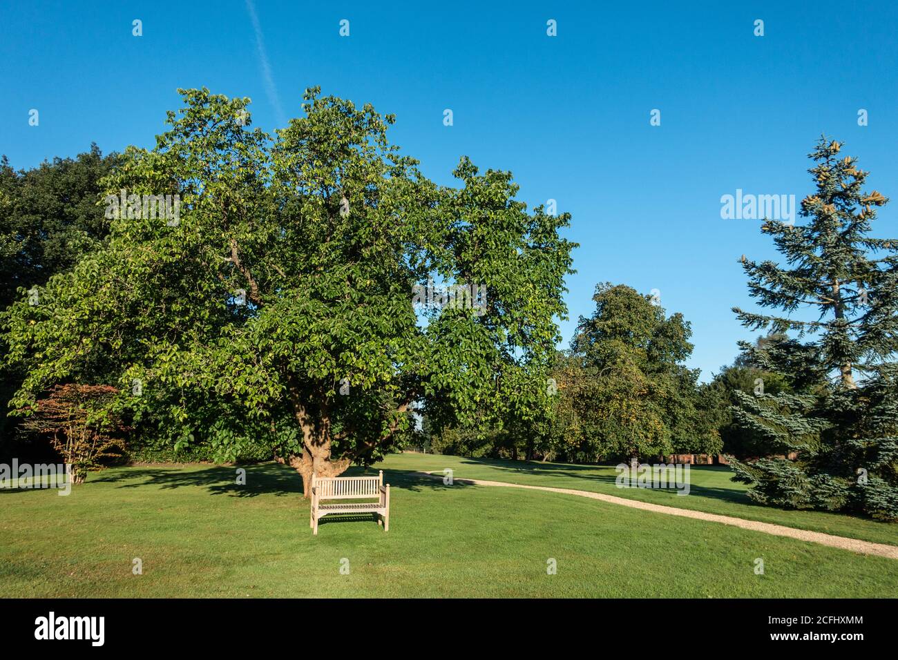 Peaceful English country house garden in summer Stock Photo - Alamy