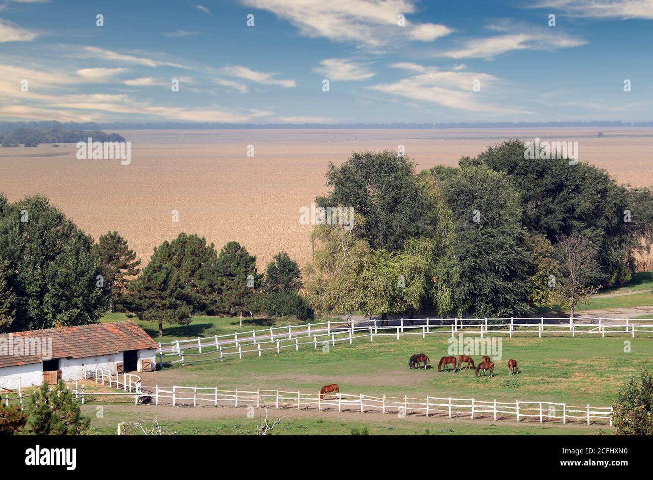 ranch with horses in coral landscape Stock Photo