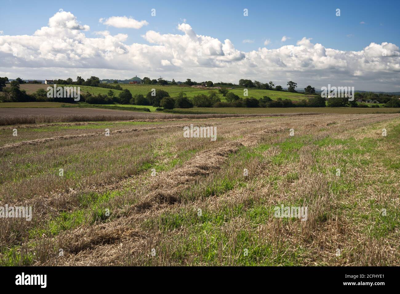 View of Wells countryside Stock Photo