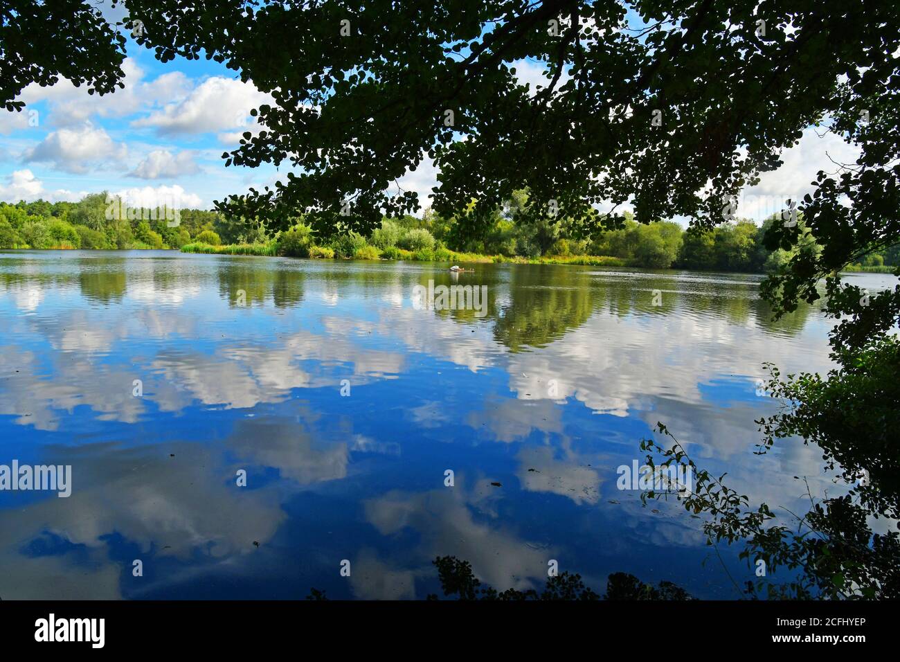 Blue sky reflecting on the water at Lackford Lakes, Nature Reserve, Suffolk, UK Stock Photo