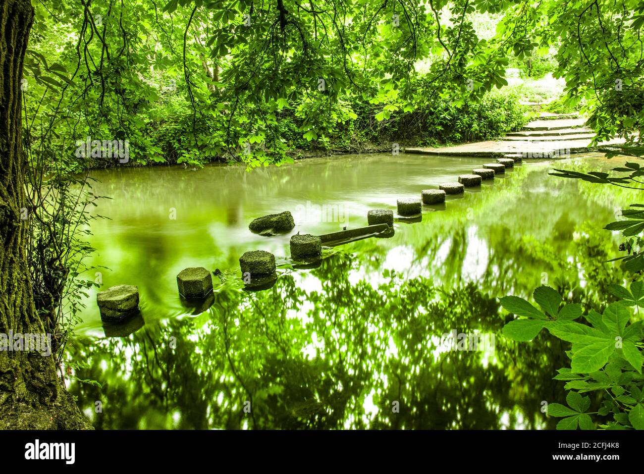 National Trust Box Hill Stepping Stones on a path to Box Hill, Surrey, England Stock Photo