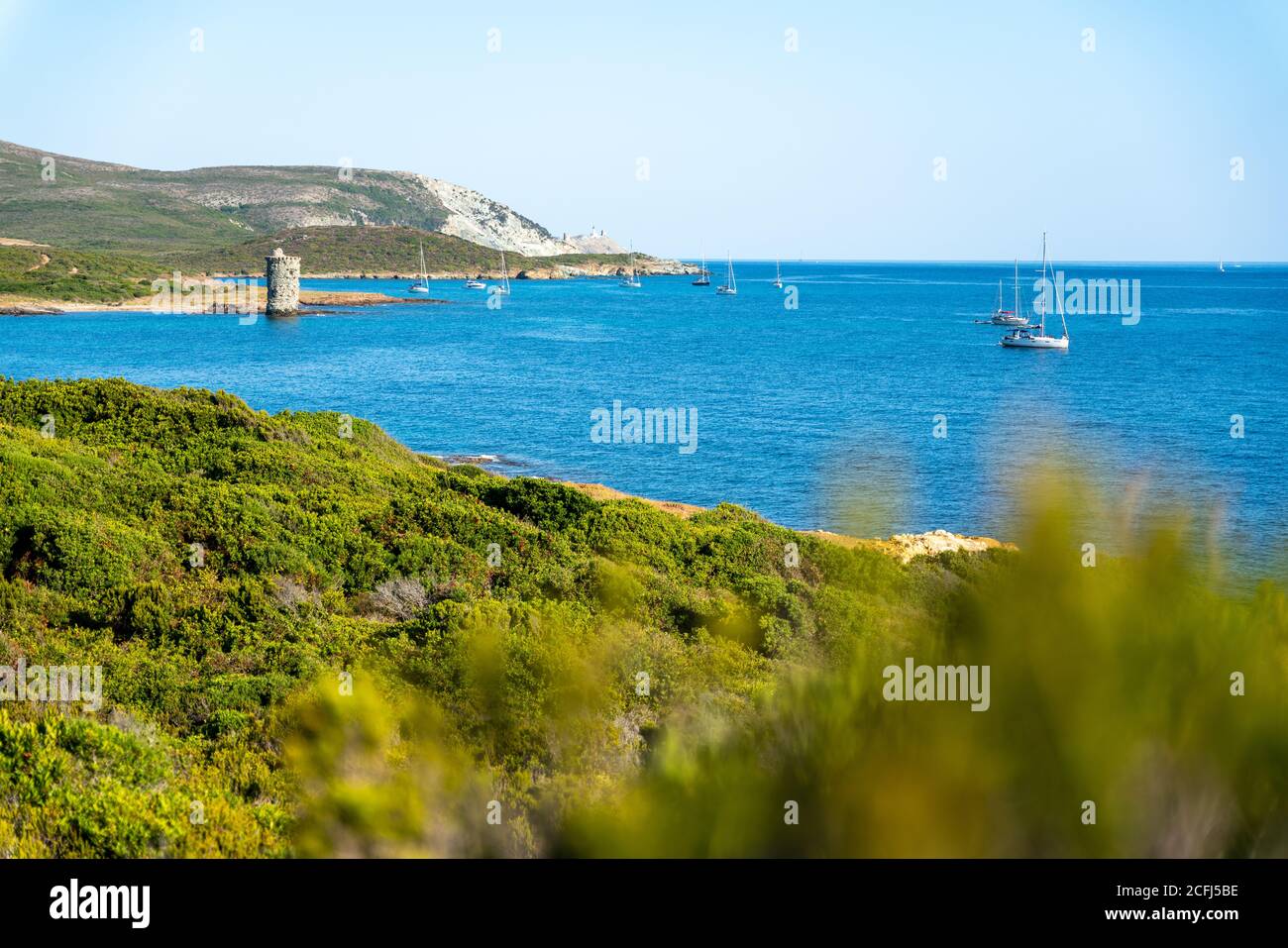 wild seascape on the 'Sentier des douaniers' path, in Cape Corse, Corsica Stock Photo