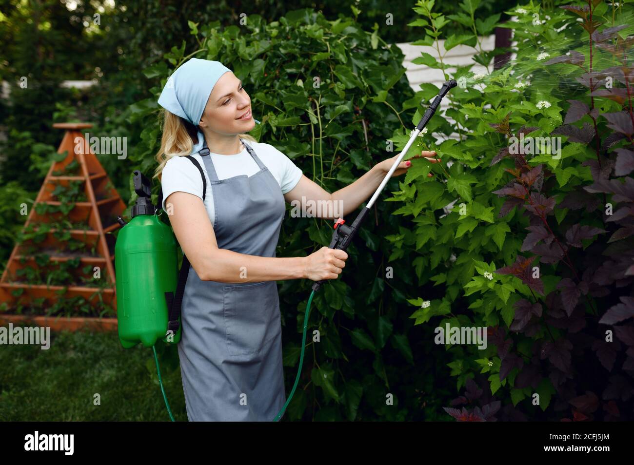 Woman in apron watering flowers in the garden Stock Photo