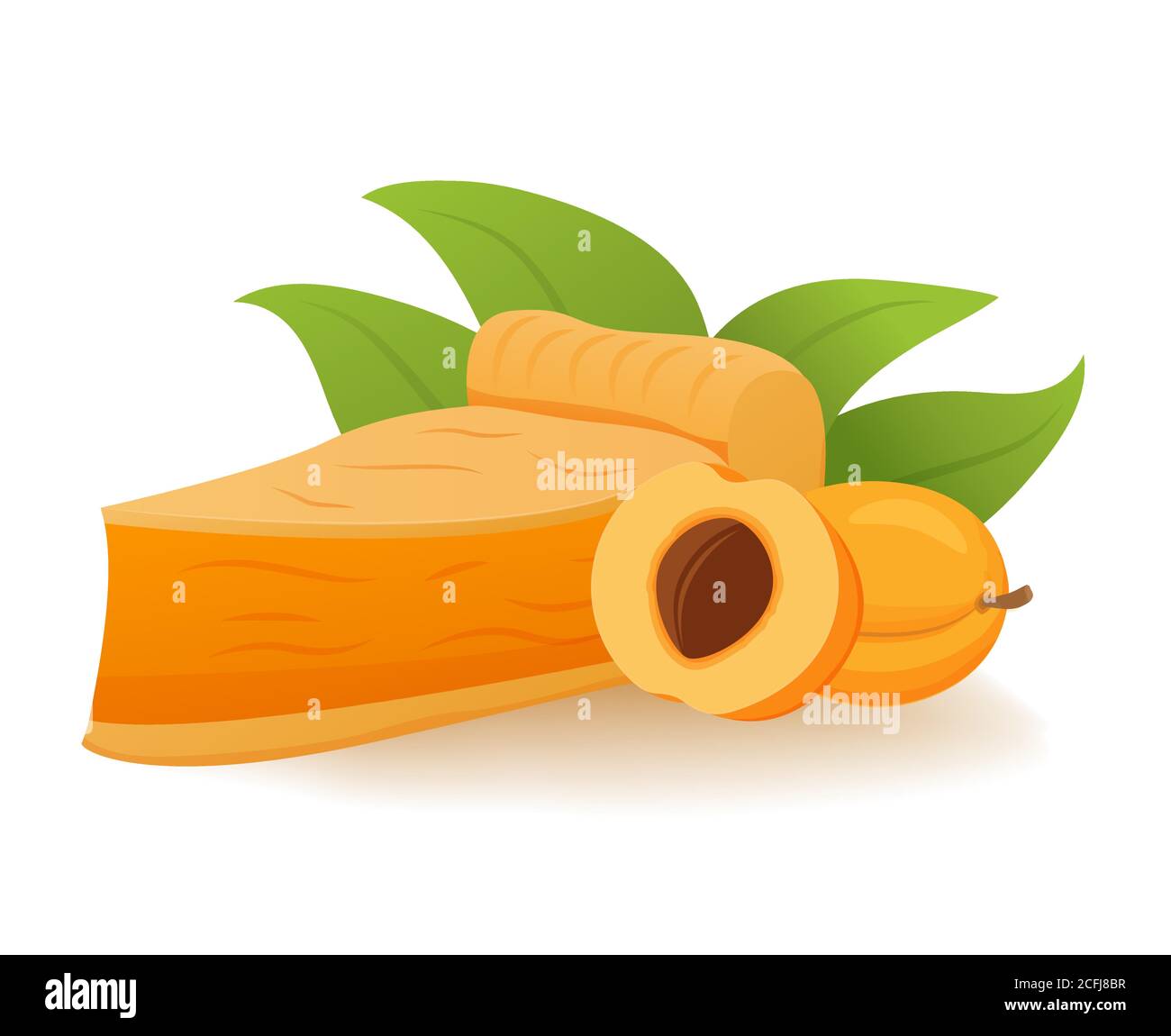 Apricot pie slice topping whipped cream.Pastry cake Stock Vector Image