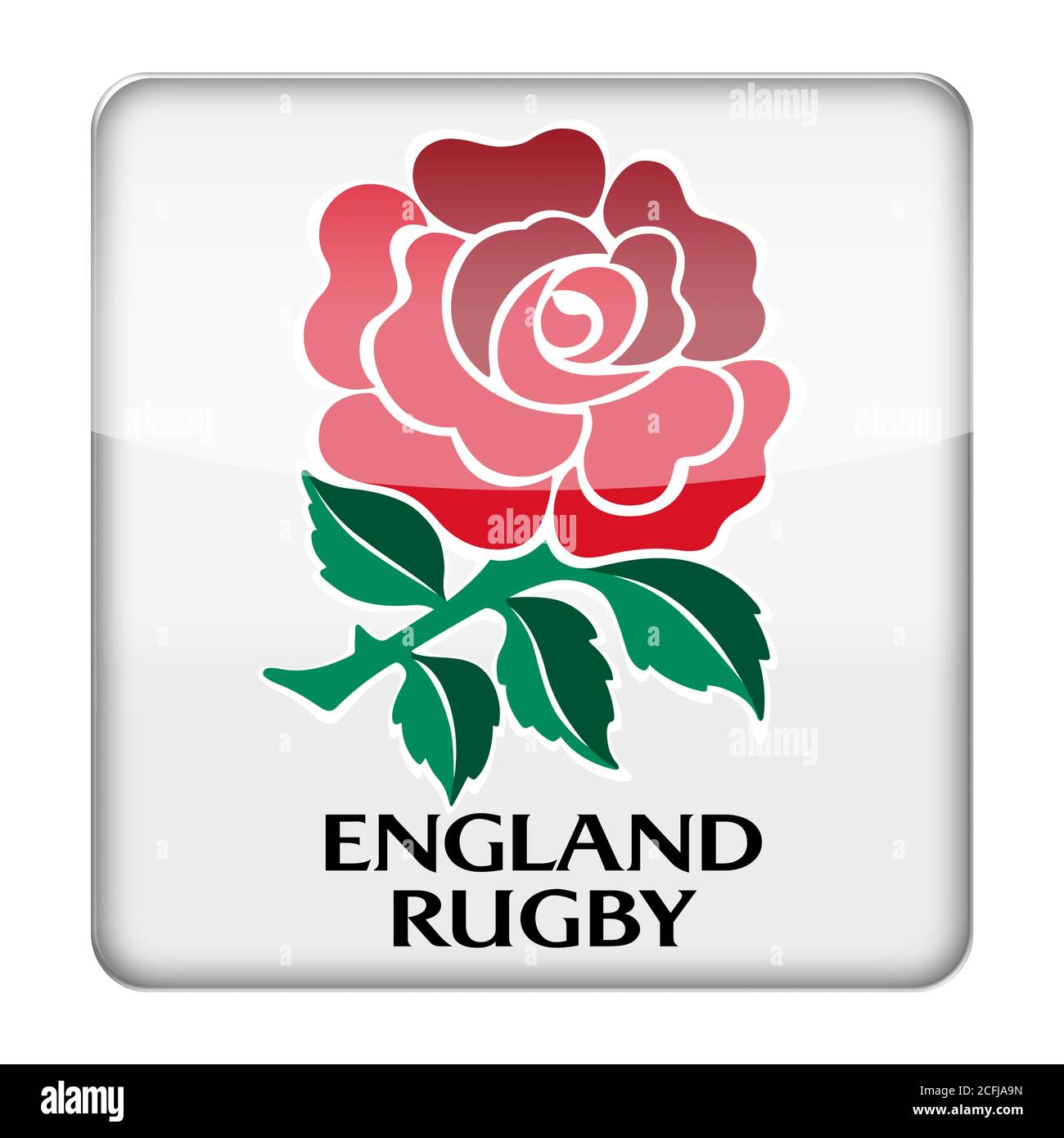 England rugby union hi-res stock photography and images - Alamy